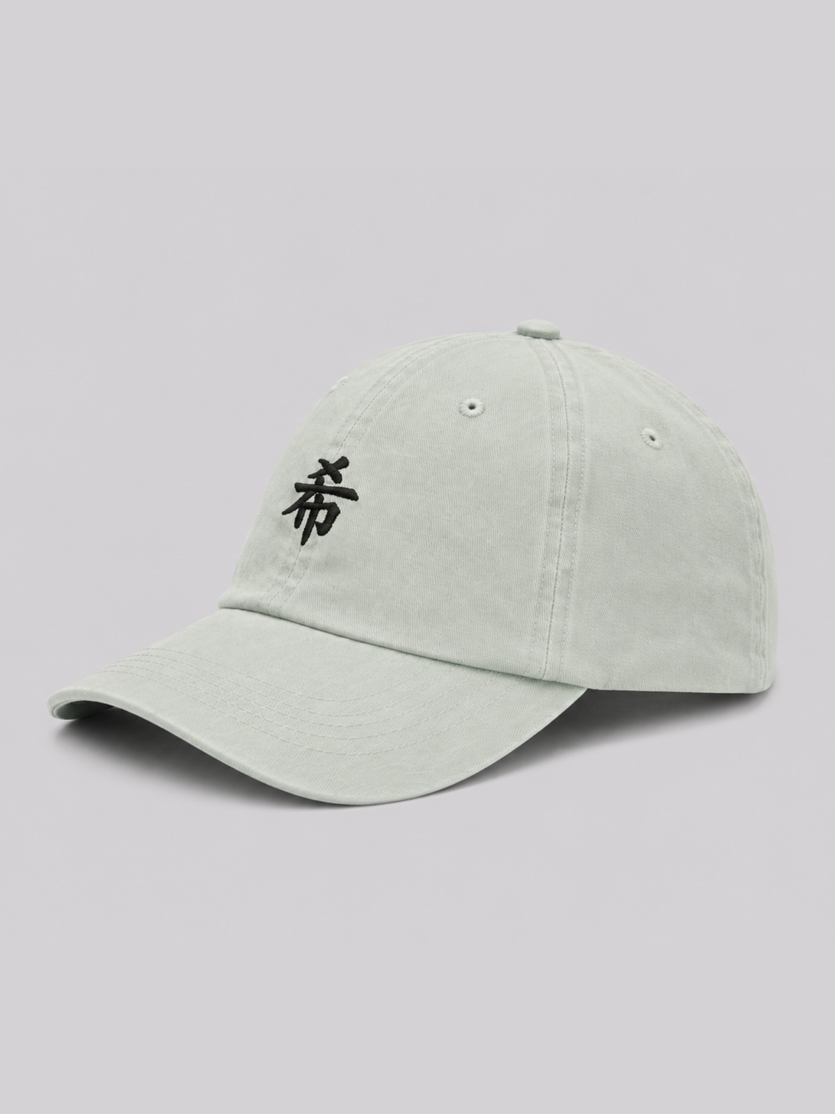 Pale North 希 KT Cap