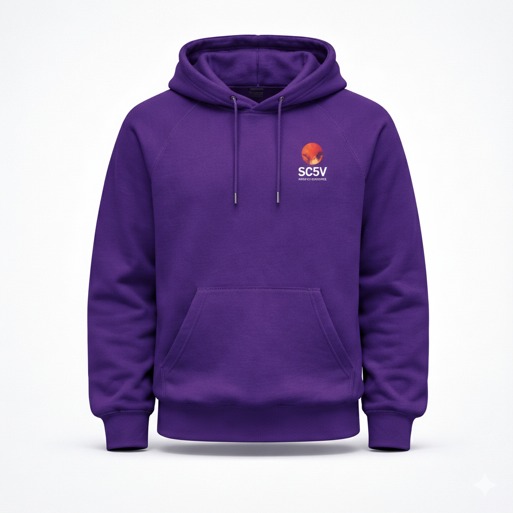 Tokyo Radiant Dawn Hoodie — Kanji Streetwear Hoodie | 5C5V Carbon Grey