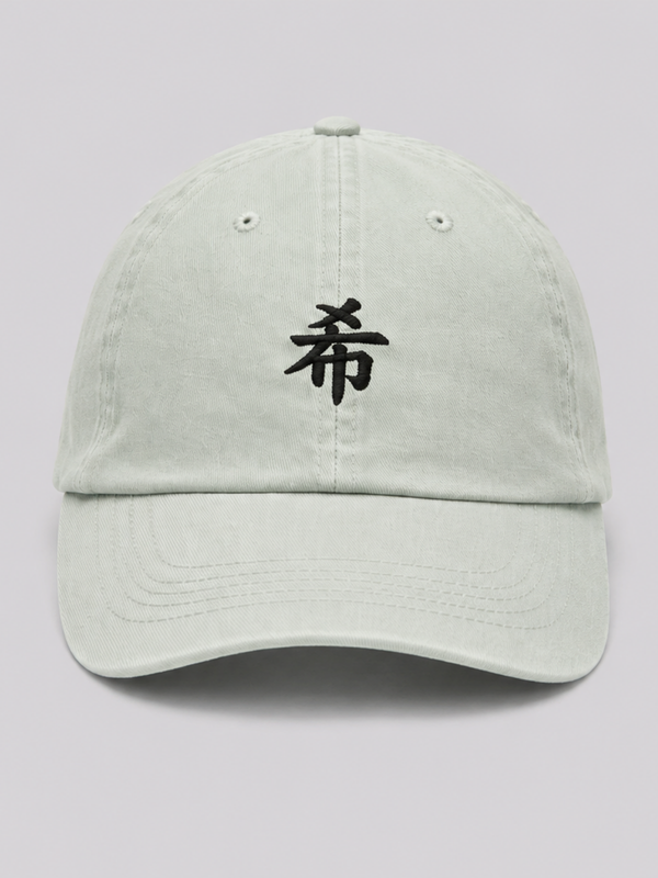 Pale North 希 KT Pastel Low Pro Cap